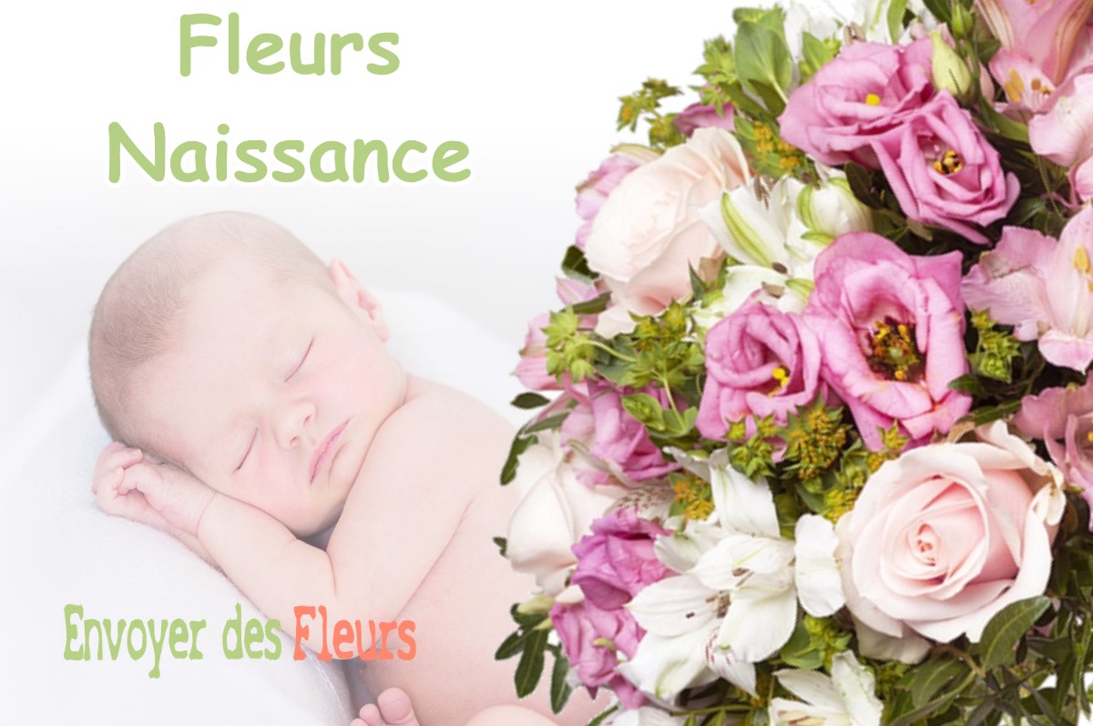 lIVRAISON FLEURS NAISSANCE à FALLETANS